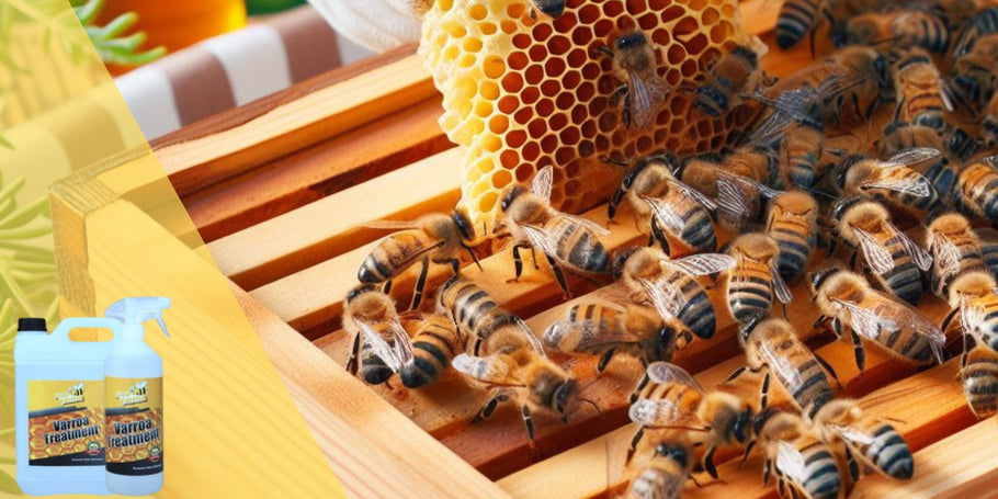 Atā, Varroa, sveiciens veselajās biteskastēs: Pilnīgs ārstēšanas ceļvedis