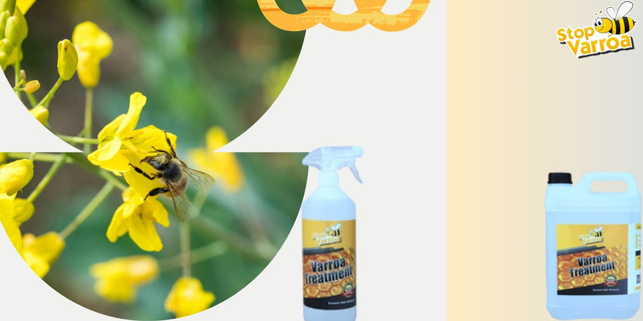 Paredziet Varroa klātbūtni un efektīvi aizsargājiet mūsu bites