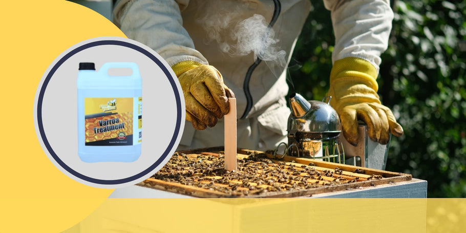 Cīņa pret Varroa ērcēm: galvenie brīži bišu veselības aizsardzībai