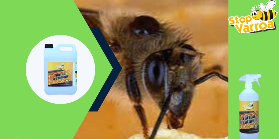 Anti-Varroa revolūcija: risinājums, kas glābs jūsu bites